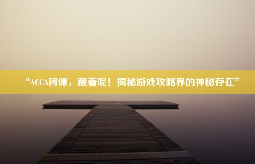 “ACCA网课，藏着呢！揭秘游戏攻略界的神秘存在”