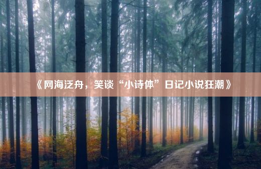 《网海泛舟，笑谈“小诗体”日记小说狂潮》