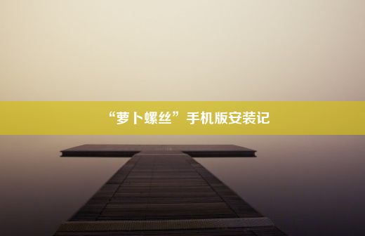 “萝卜螺丝”手机版安装记