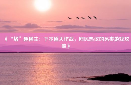 《“堵”趣横生：下水道大作战，网民热议的另类游戏攻略》