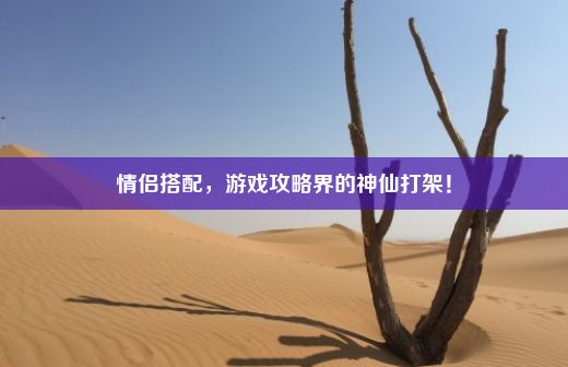 情侣搭配，游戏攻略界的神仙打架！