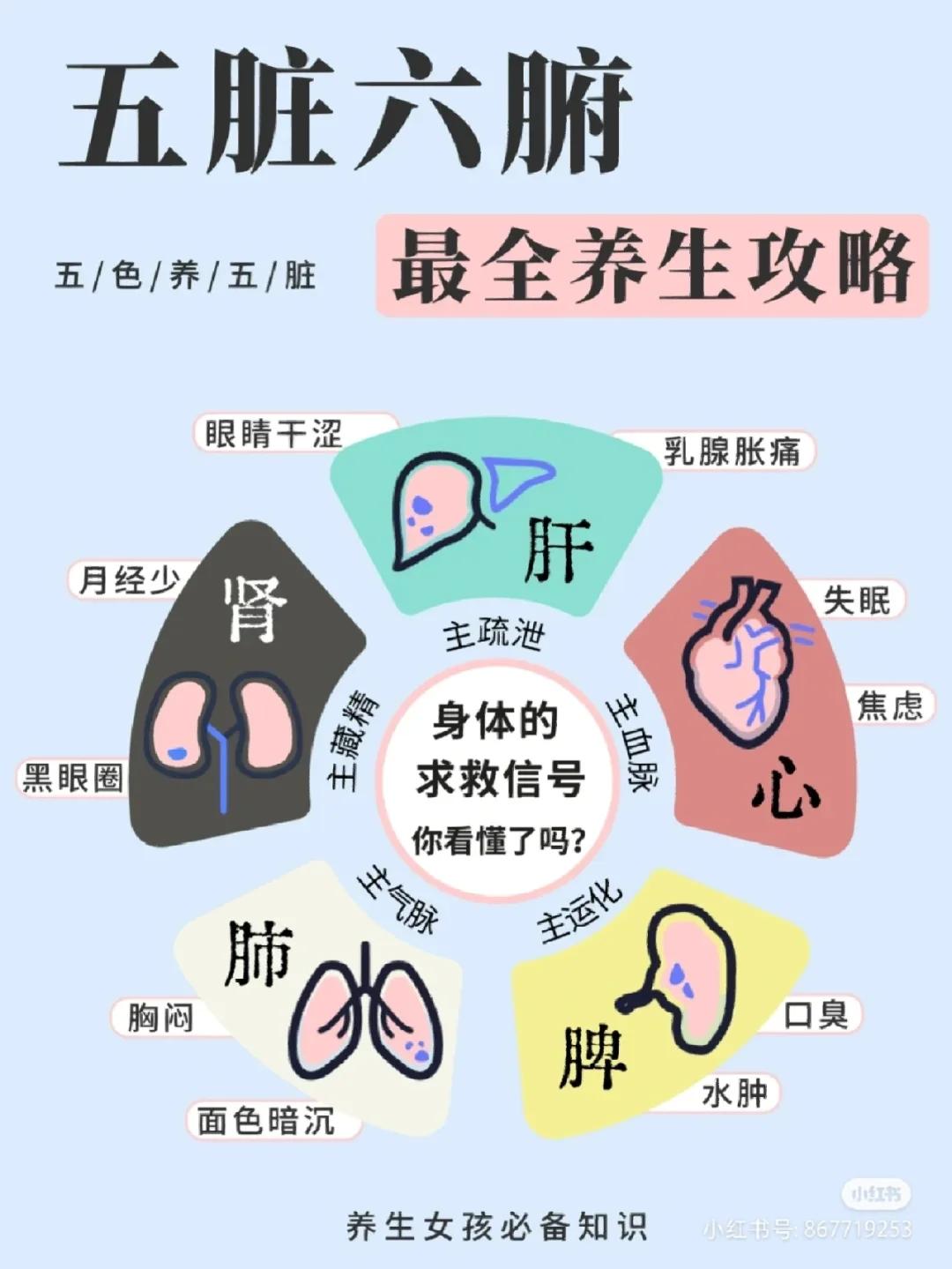 大爷牌解毒液：游戏界的神医奇谭