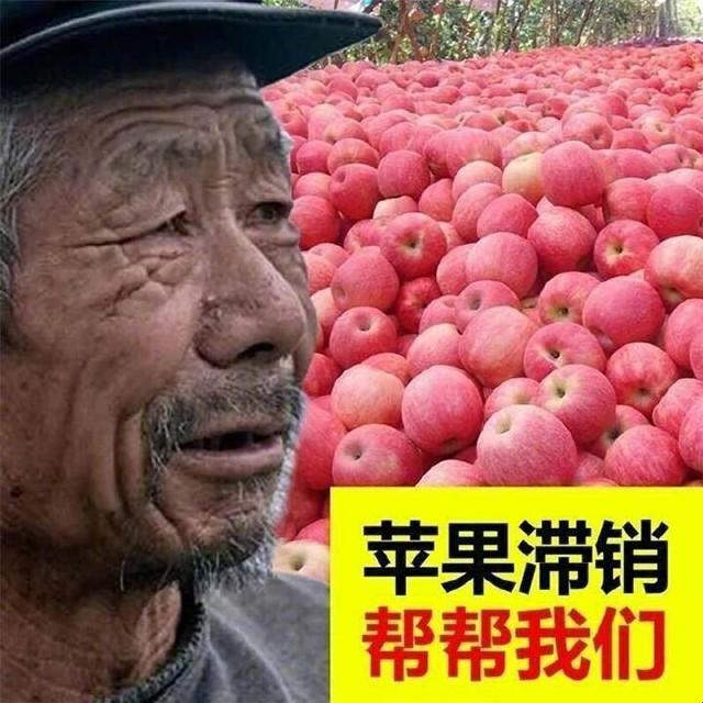 大爷牌解毒液：游戏界的神医奇谭