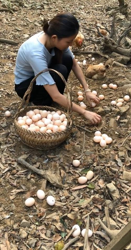 鸡飞蛋打，牛气冲天：农村乐章里的荒诞日常