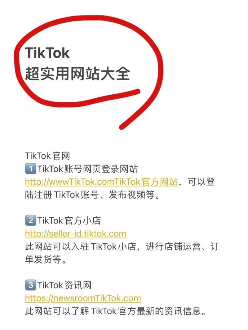  TikTok网页版入口：巧夺天工的匠心独运