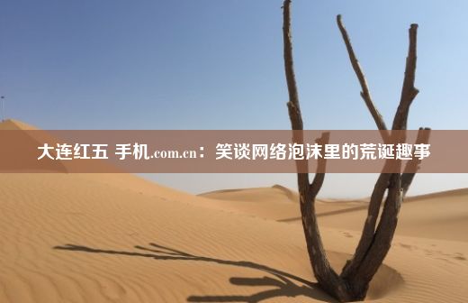 大连红五 手机.com.cn：笑谈网络泡沫里的荒诞趣事