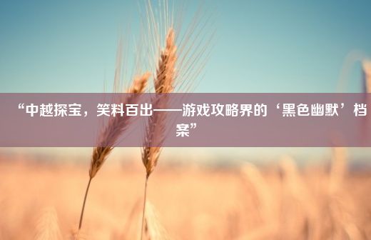 “中越探宝，笑料百出——游戏攻略界的‘黑色幽默’档案”