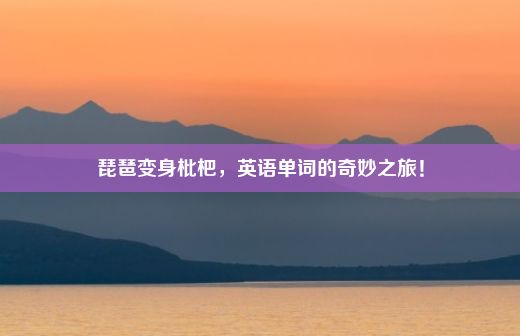 琵琶变身枇杷，英语单词的奇妙之旅！